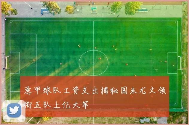 意甲球队工资支出揭秘国米尤文领衔五队上亿大军