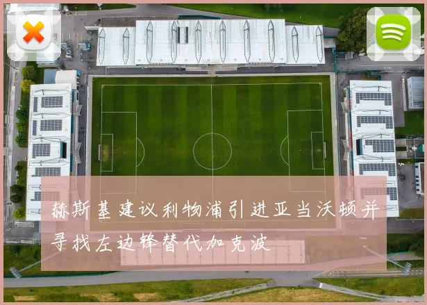 赫斯基建议利物浦引进亚当沃顿并寻找左边锋替代加克波
