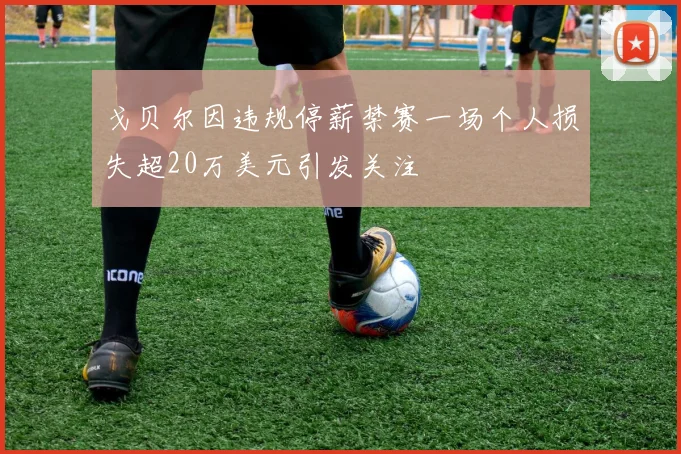 戈贝尔因违规停薪禁赛一场个人损失超20万美元引发关注